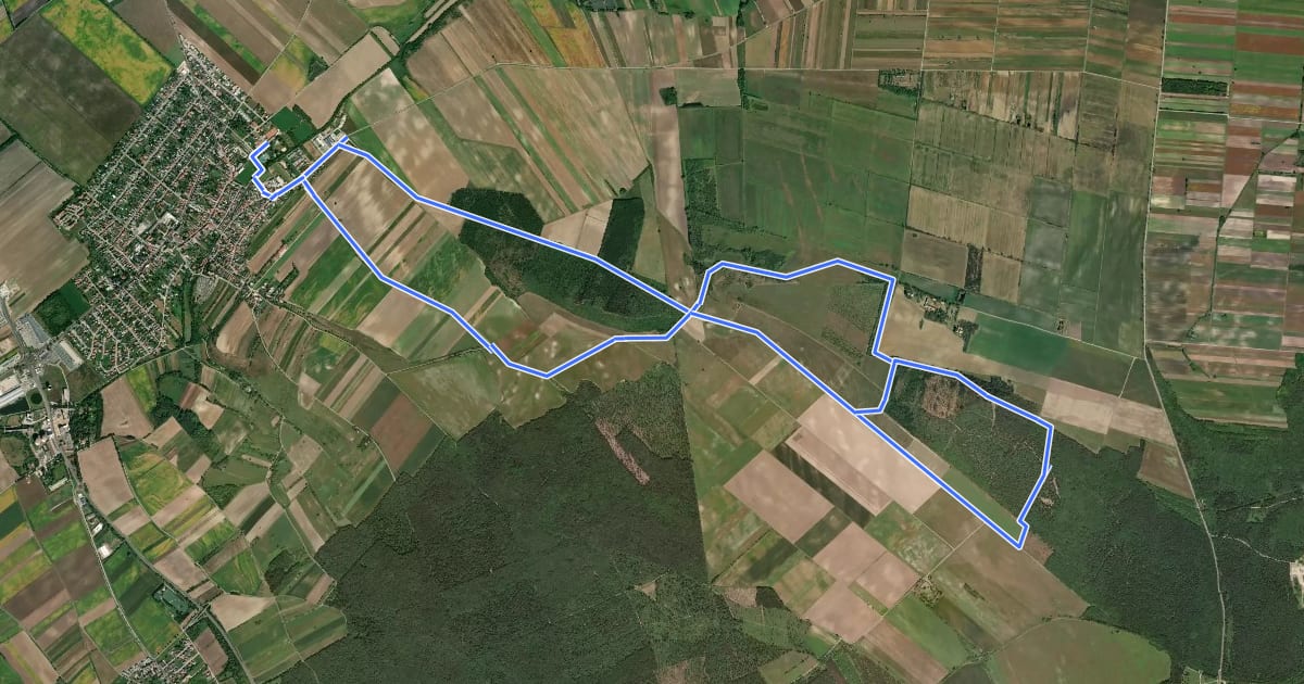 Маршрут Natura 2000-Tour (Vital-Parcours Siegendorf) на спутниковом снимке