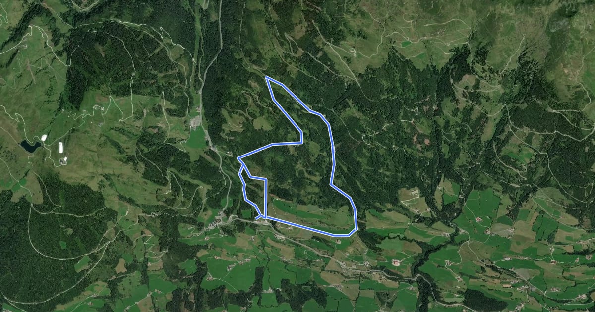 Маршрут Natura Trail Wasenmoos на спутниковом снимке
