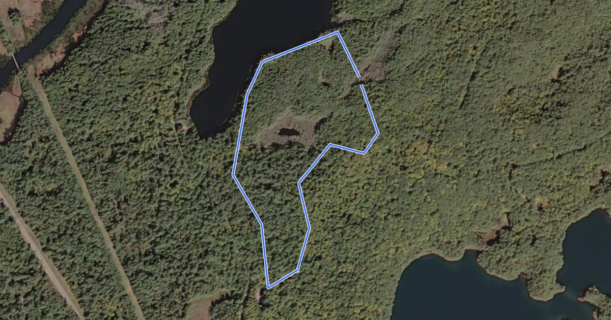 Маршрут Nature Trail Loop на спутниковом снимке