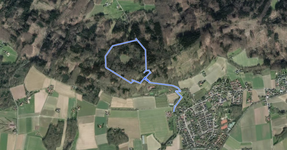 Маршрут Naturerlebnispfad Rödinghausen, Schleife Wald-Welten на спутниковом снимке