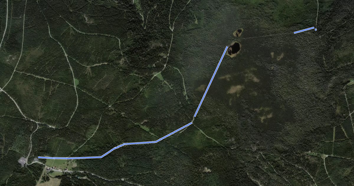 Маршрут Naturerlebnisweg Kaltenbronn на спутниковом снимке
