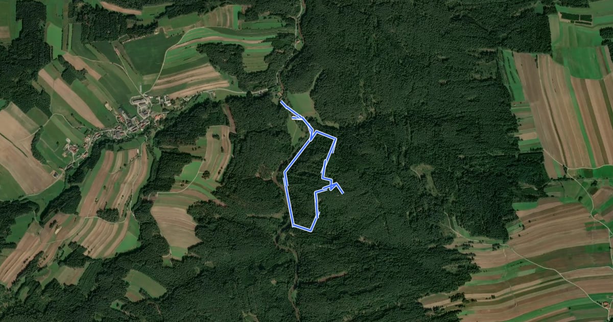 Маршрут Naturfreundeweg, Utissenbachmühle - Hoher Stein на спутниковом снимке