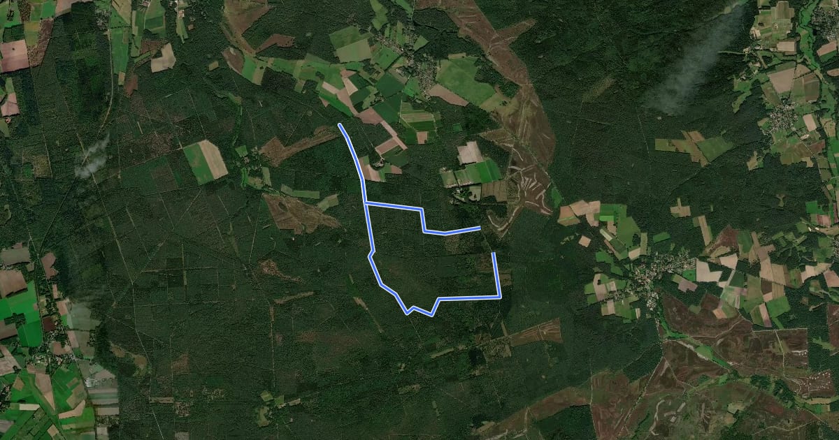 Маршрут Naturistenweg Undeloh на спутниковом снимке