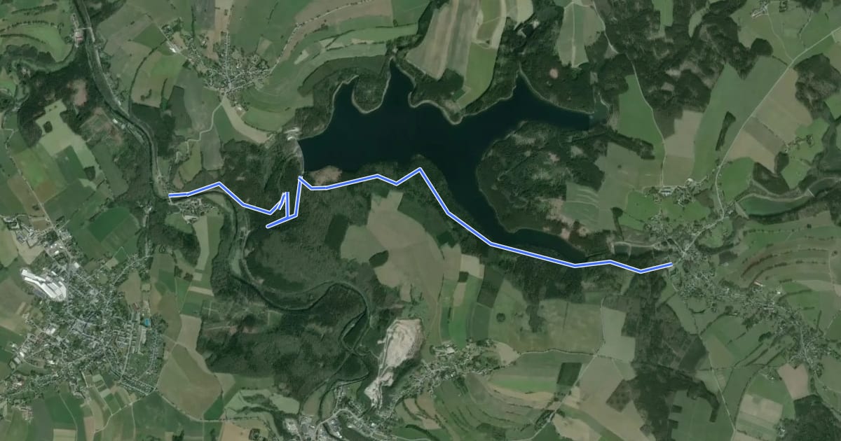 Маршрут Naturlehrpfad An der Saidenbachtalsperre на спутниковом снимке