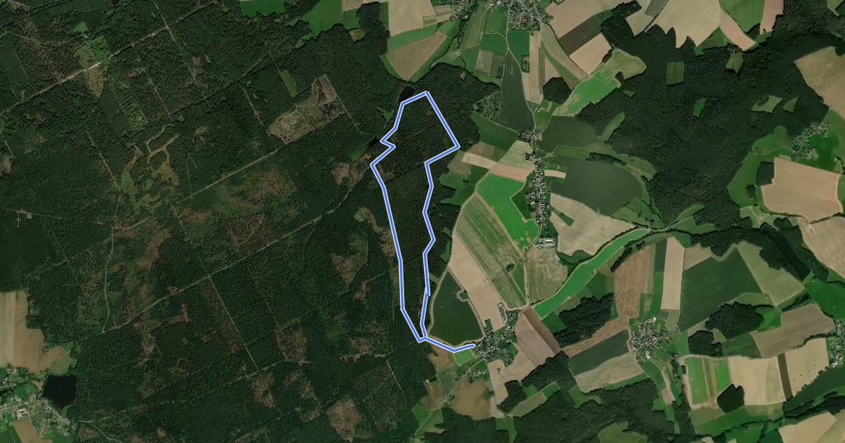 Маршрут Naturlehrpfad Pöllwitzer Wald на спутниковом снимке