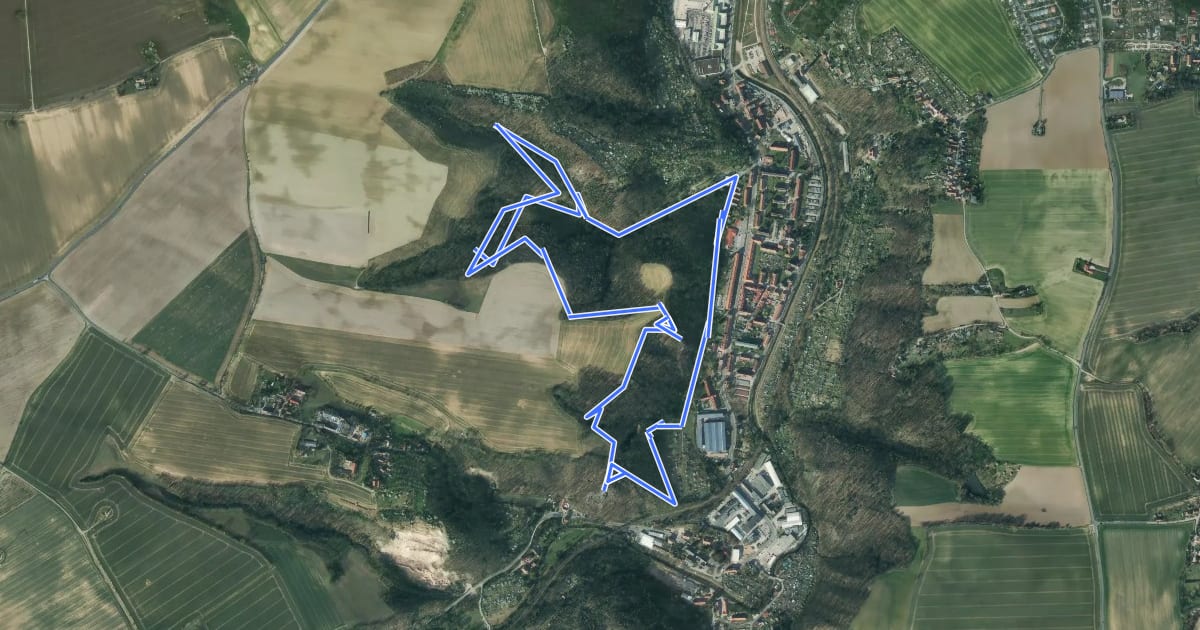 Маршрут Naturlehrpfad Stadtwald на спутниковом снимке