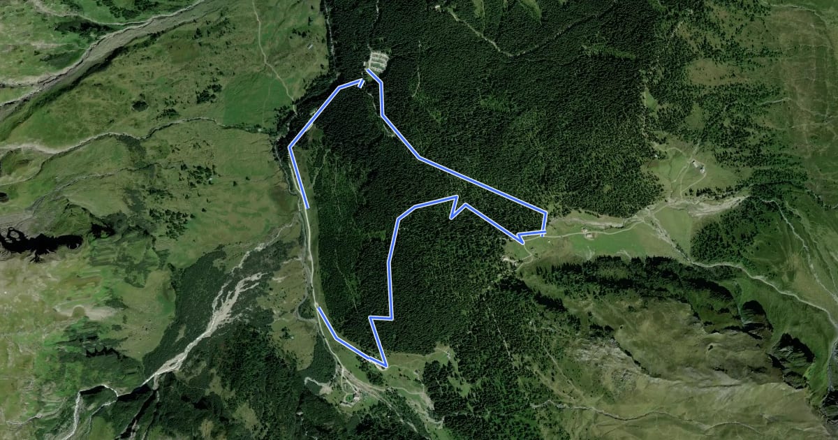 Маршрут Naturlehrweg Rauriser Urwald на спутниковом снимке