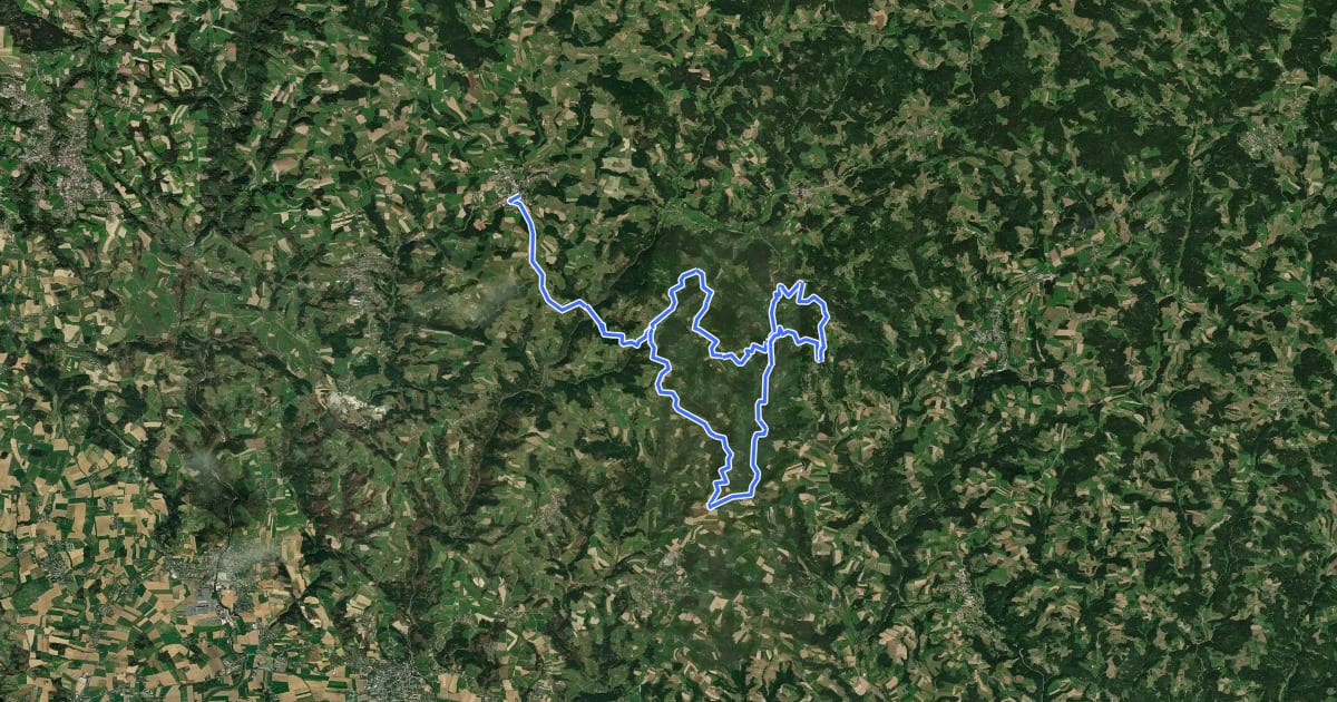Маршрут Naturpark Mühlviertel Radweg (1) на спутниковом снимке