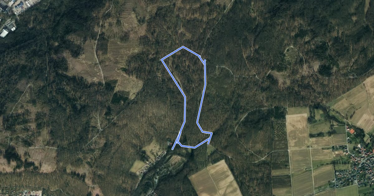Маршрут Naturpark Münden - B1 на спутниковом снимке