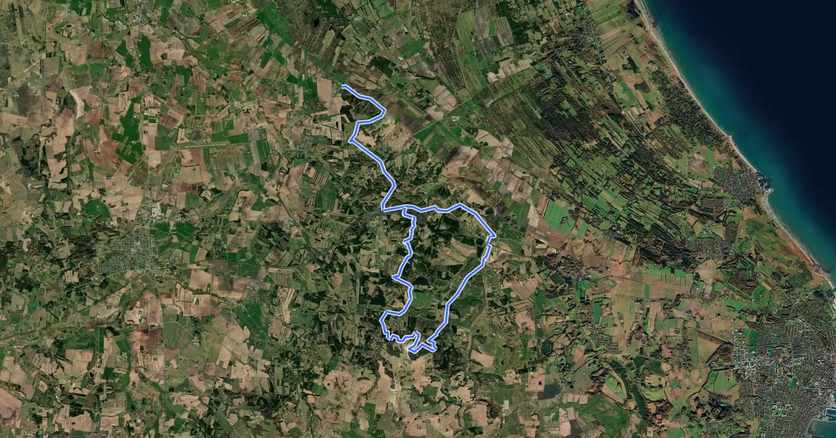 Маршрут Naturpark Tolne Ruten на спутниковом снимке