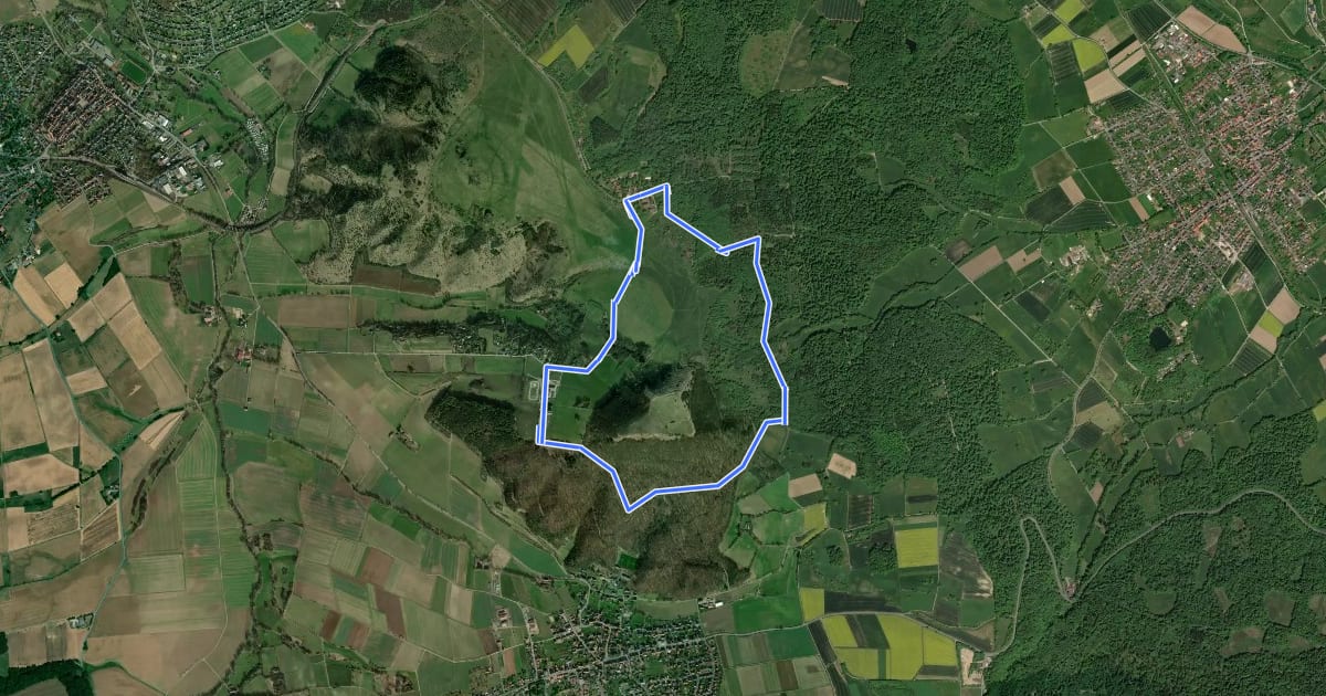 Маршрут Naturparkweg 8 "Dörnbergumrundung" на спутниковом снимке
