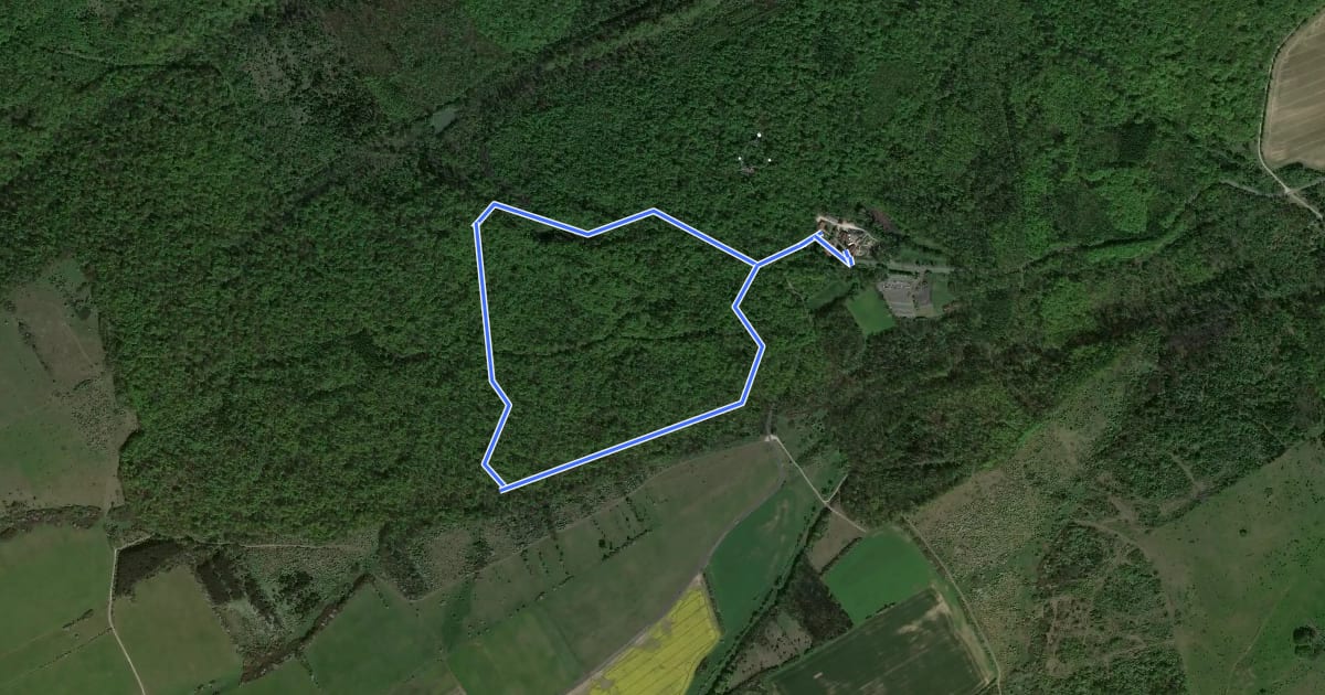Маршрут Naturpfad Thiemsburg на спутниковом снимке