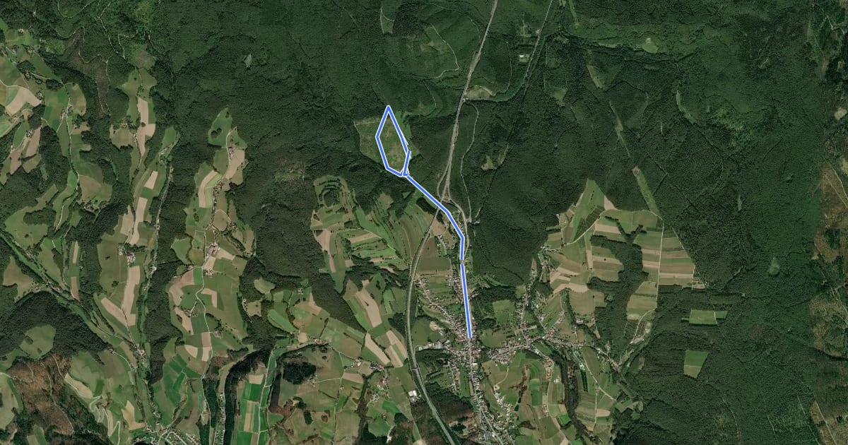 Маршрут Naturwanderweg 2 (Sieggraben - Gemeindewiese) на спутниковом снимке