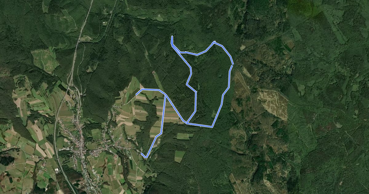 Маршрут Naturwanderweg 4 (Sieggraben - Grüne Lacke - Herrentisch) на спутниковом снимке