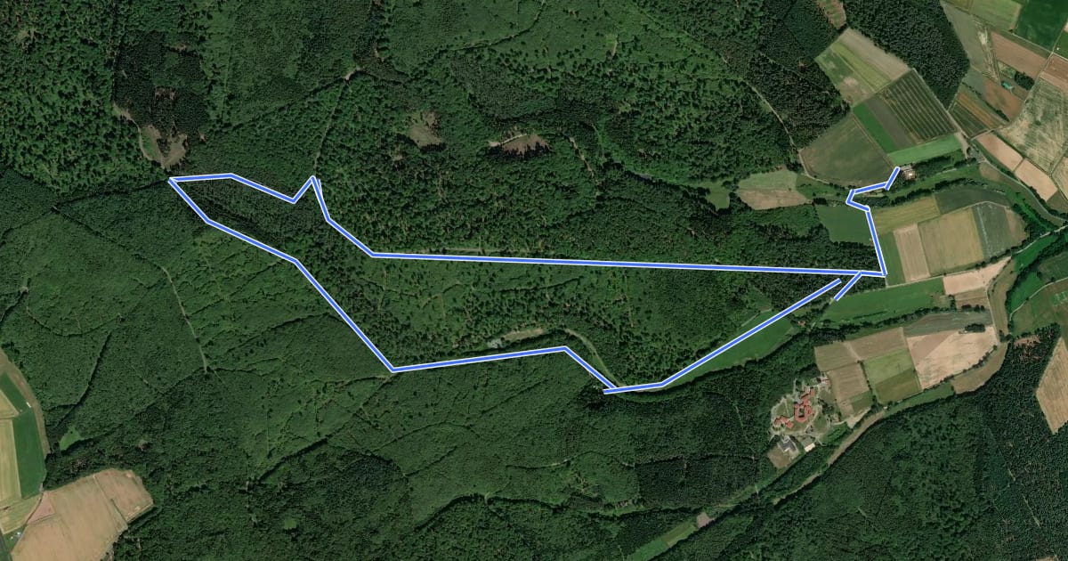 Маршрут Naumburg, Rundweg 2 на спутниковом снимке