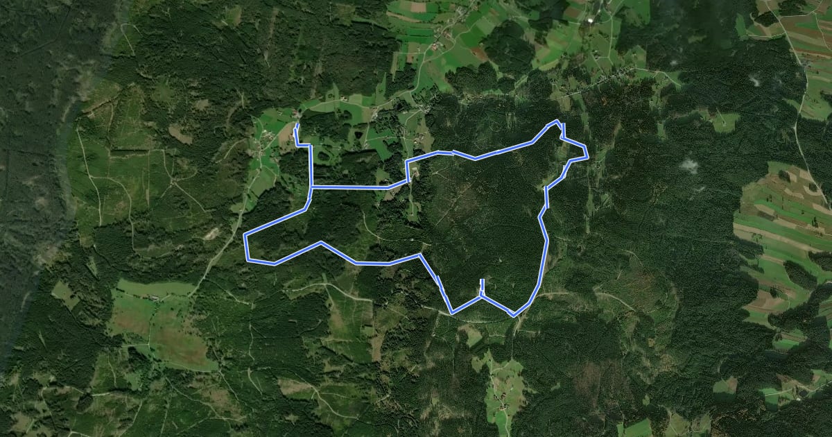 Маршрут Nebelstein Erlebnis-Wanderweg на спутниковом снимке