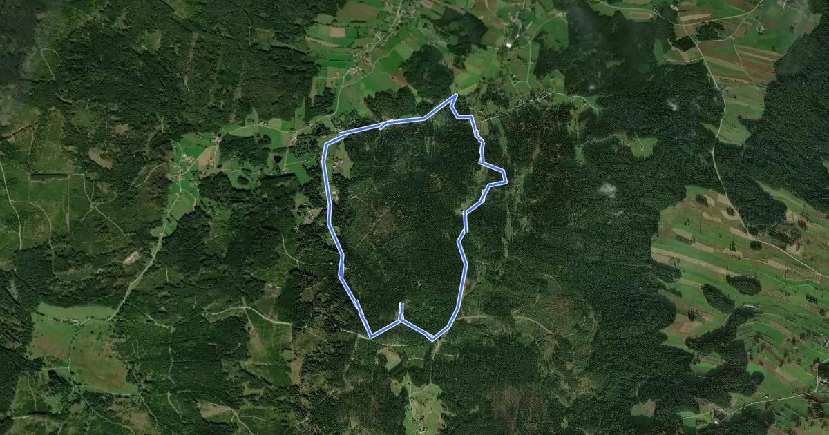 Маршрут Nebelsteinweg I на спутниковом снимке