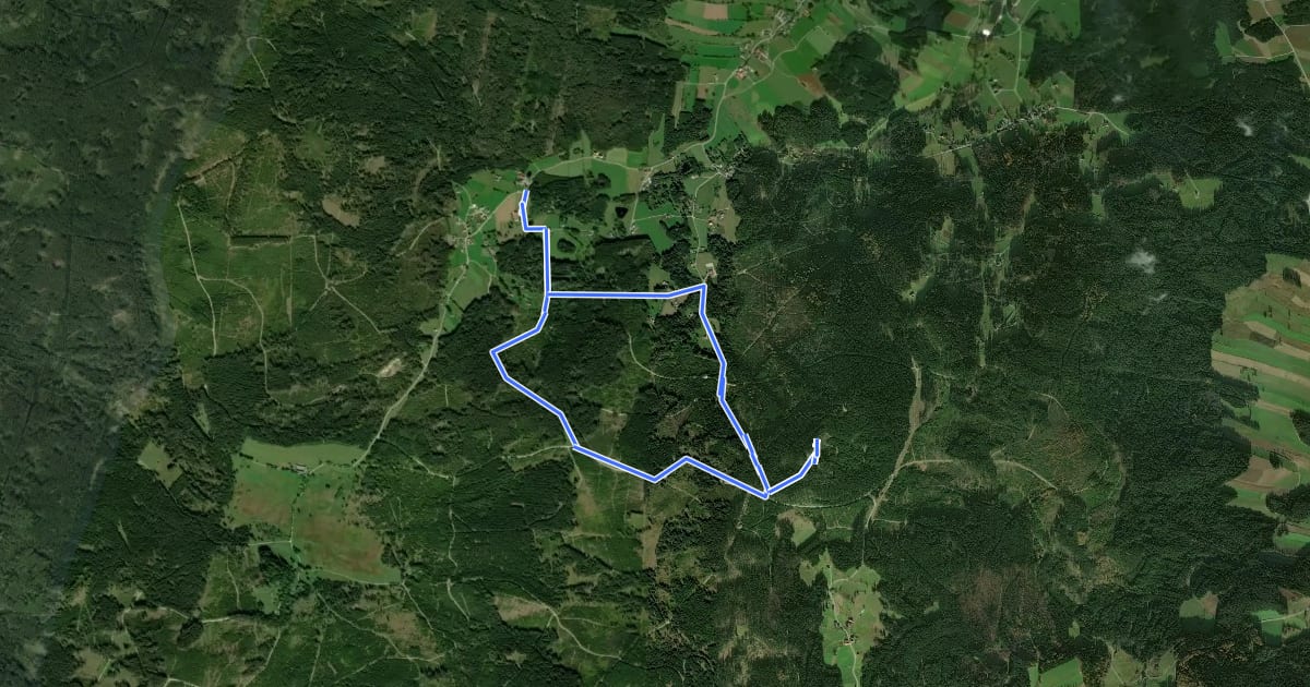Маршрут Nebelsteinweg II на спутниковом снимке