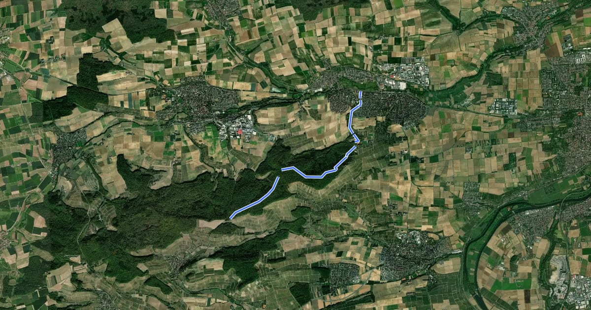 Маршрут Nebenline des SAV (rotes Kreuz) на спутниковом снимке