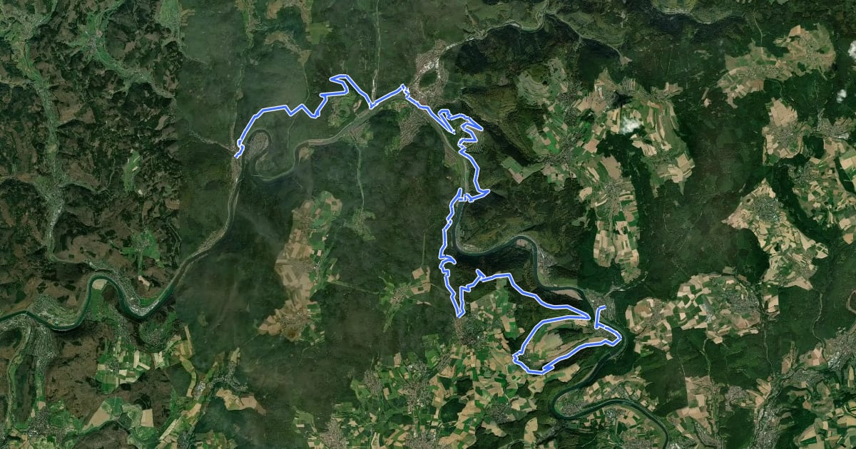 Маршрут Neckarsteig Teilstrecke Neckargerach - Hirschhorn на спутниковом снимке