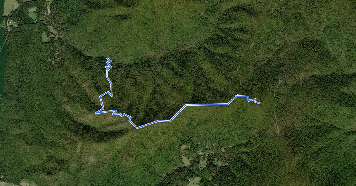 Маршрут Neighbor Mountain Trail на спутниковом снимке