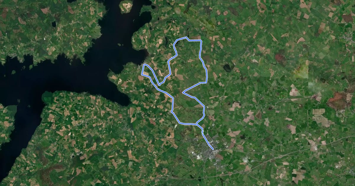 Маршрут Nenagh Cycle Hub - Loop 1B на спутниковом снимке