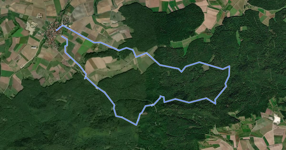 Маршрут Nenzenheim Rundweg N1 на спутниковом снимке