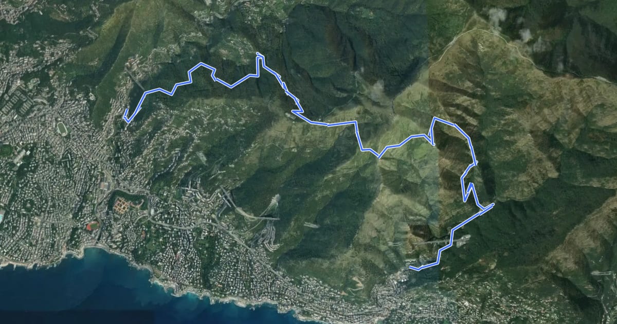 Маршрут Nervi - Monte Fasce - Premanico - Borgoratti на спутниковом снимке