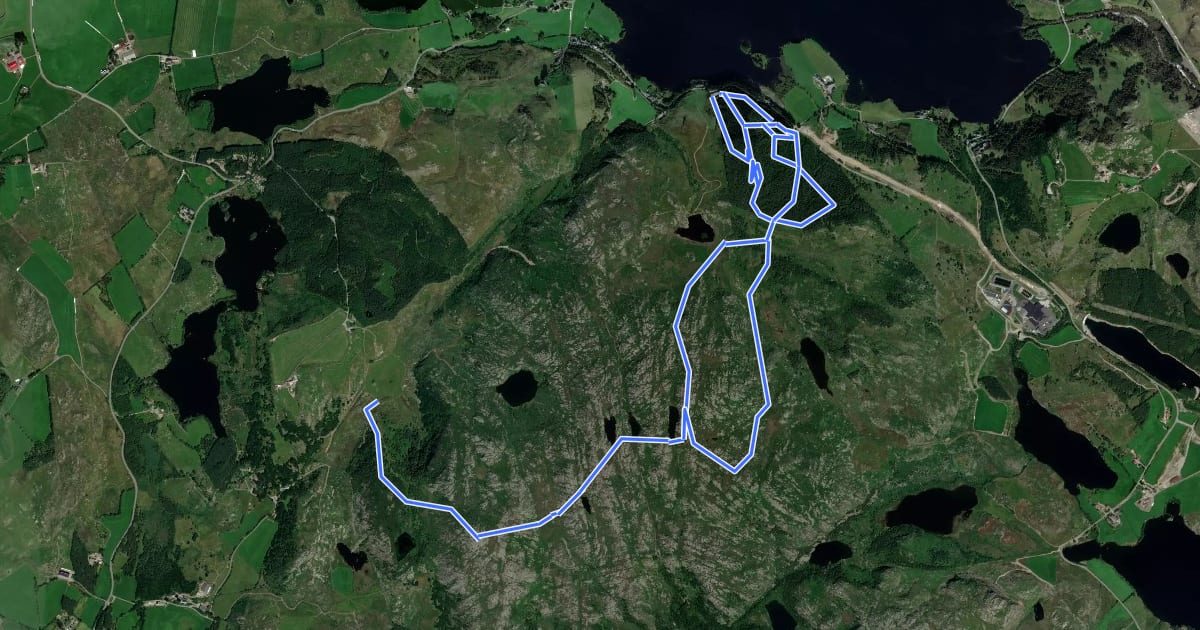 Маршрут Neseskogen на спутниковом снимке