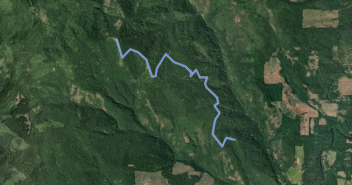 Маршрут Nestor Peak Hike на спутниковом снимке