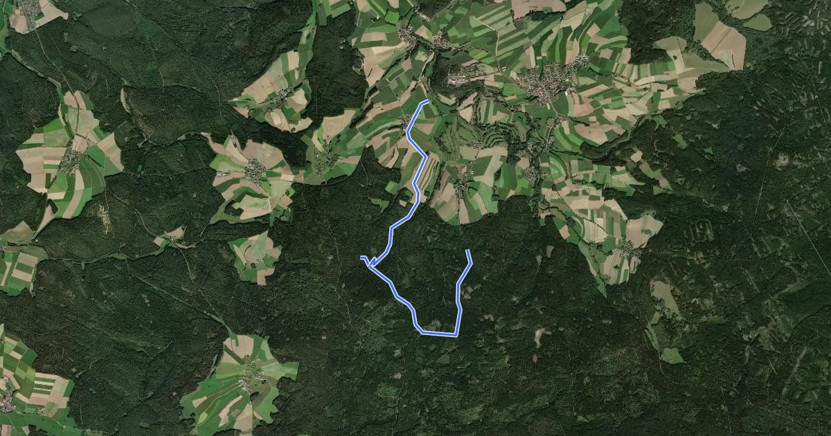Маршрут Neualbenreuth: Durch den Egerischen Hochwald zum Ringelfelsen на спутниковом снимке