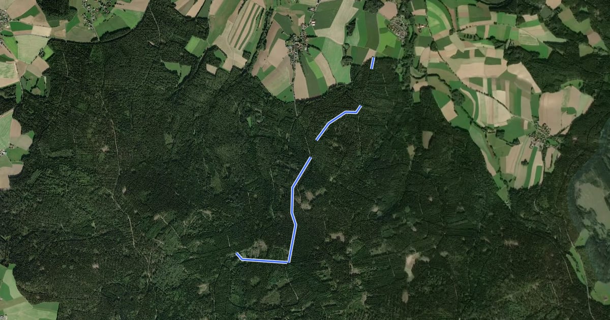 Маршрут Neualbenreuth - Egerer Wald на спутниковом снимке