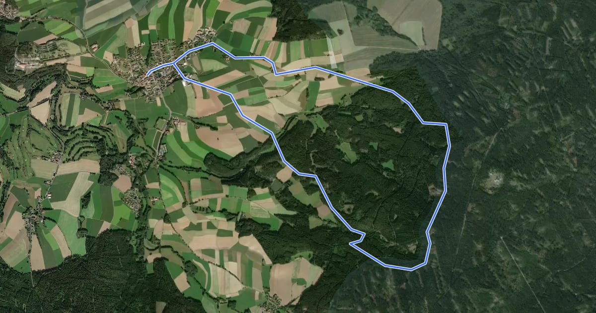 Маршрут Neualbenreuth: Tillenweg на спутниковом снимке