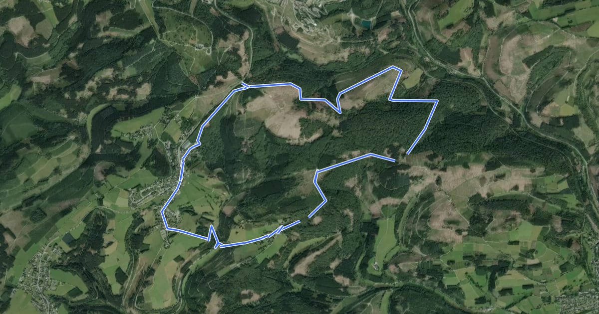 Маршрут Neuastenberg Rundweg N4 Bärenbergweg на спутниковом снимке