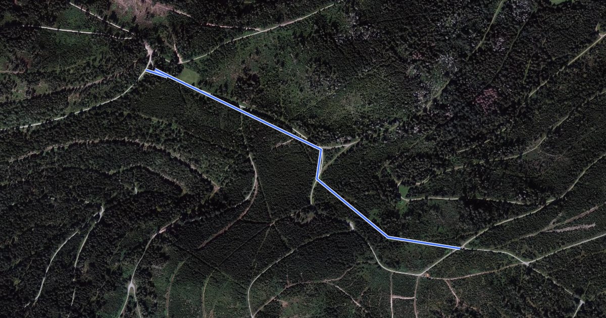 Маршрут Neuberg - Tanzplatz на спутниковом снимке