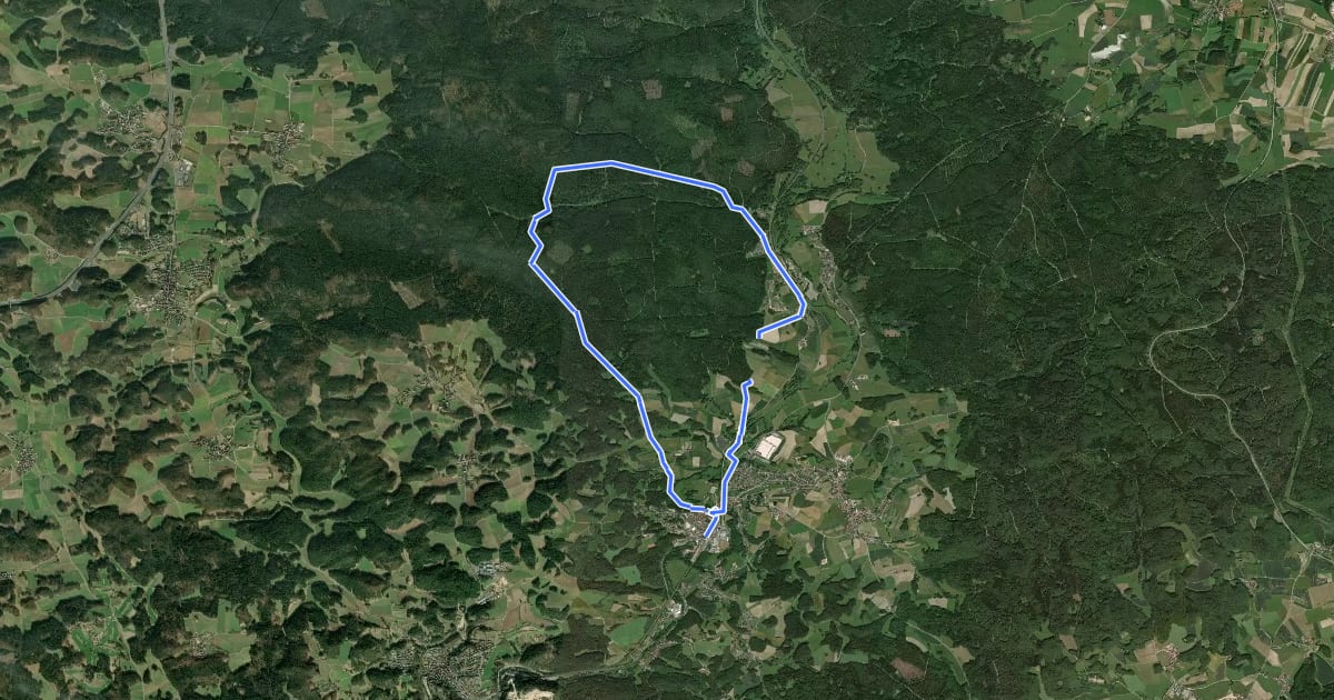 Маршрут Neuhaus-Rundwanderweg No.1 на спутниковом снимке