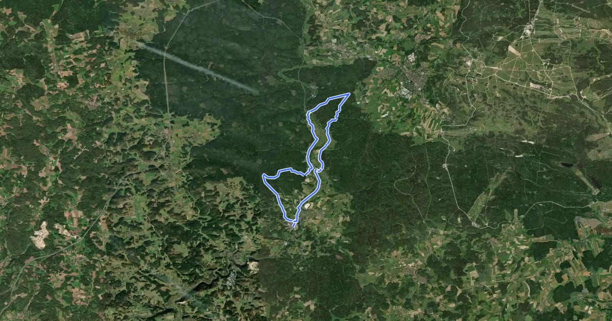 Маршрут Neuhaus-Rundwanderweg No.12 на спутниковом снимке