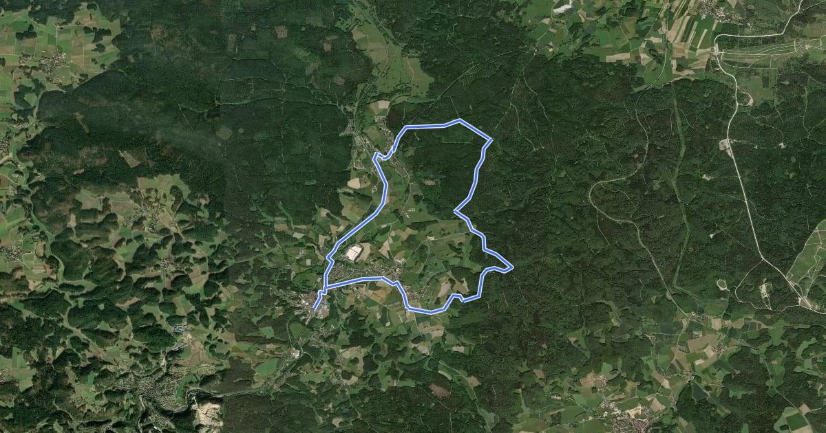 Маршрут Neuhaus-Rundwanderweg No.2 на спутниковом снимке
