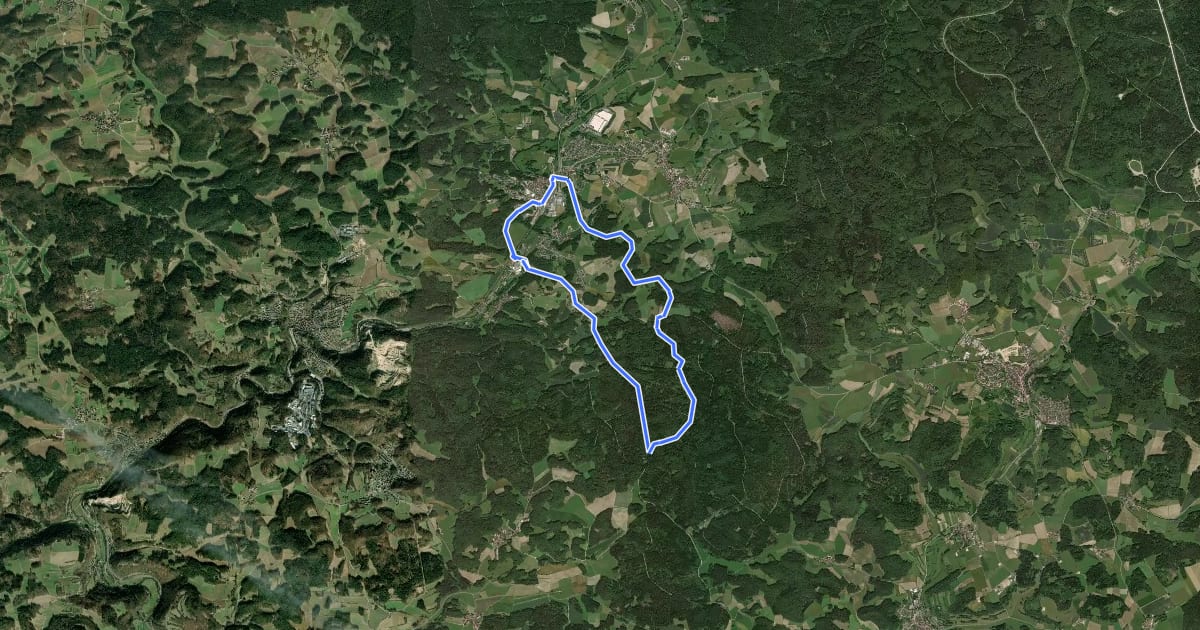 Маршрут Neuhaus-Rundwanderweg No.5 на спутниковом снимке