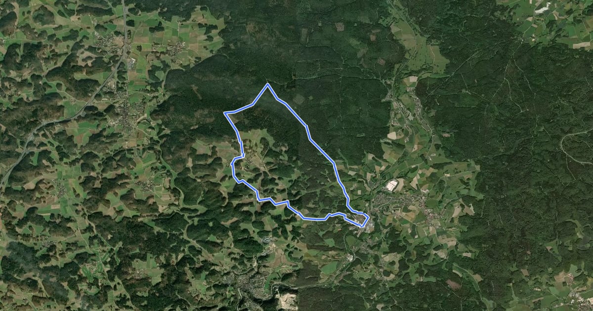Маршрут Neuhaus-Rundwanderweg No.8 на спутниковом снимке