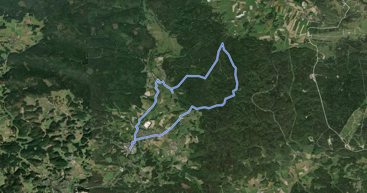 Маршрут Neuhaus-Rundwanderweg No.9 на спутниковом снимке