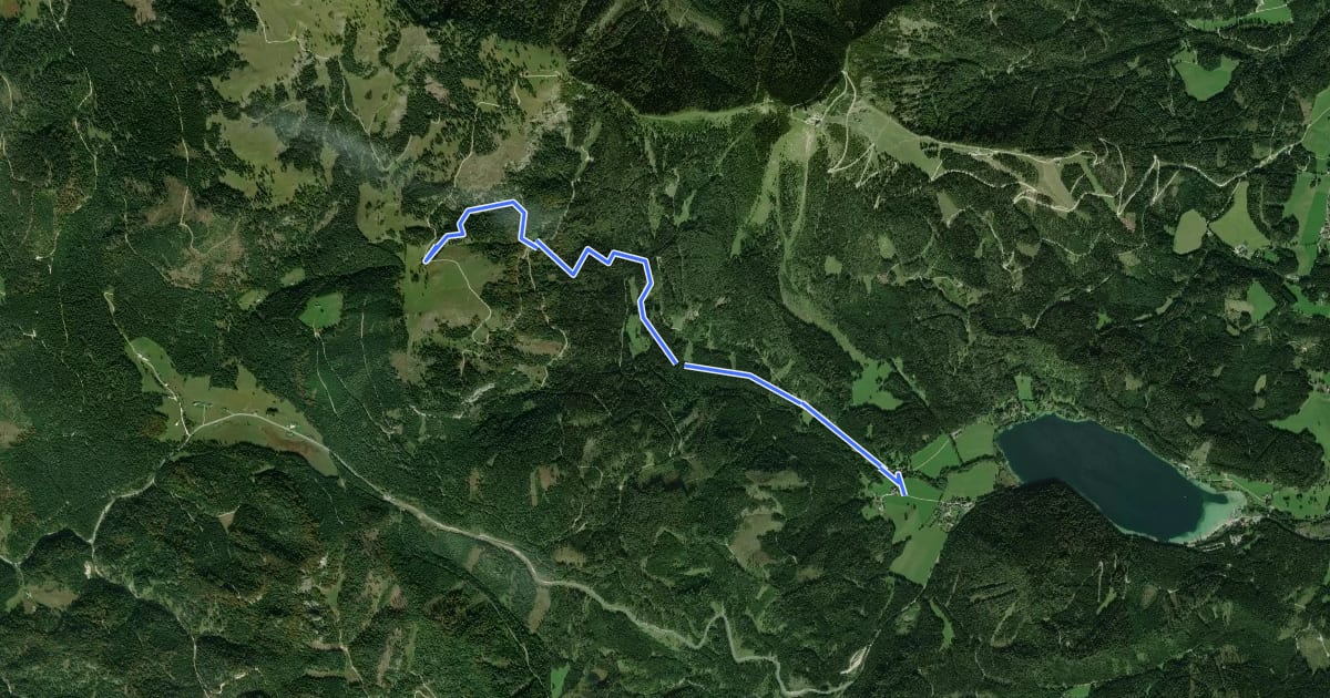 Маршрут Neukogler - Brunnsteinalm на спутниковом снимке