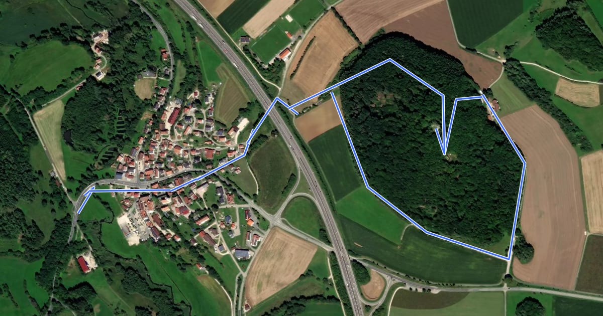 Маршрут Neumarkter Burgensteig-Runde Helfenburg (2) на спутниковом снимке