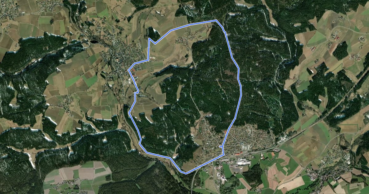 Маршрут Neusorg Rundweg 1 на спутниковом снимке