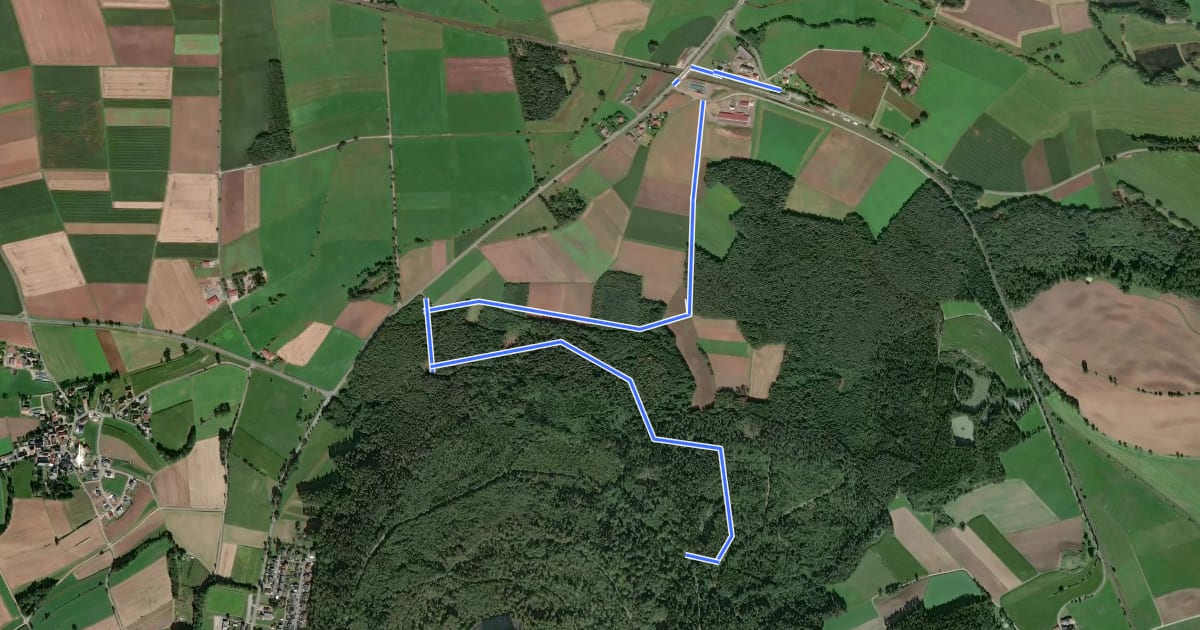 Маршрут Neustadt/Kulm Bahnhofsweg на спутниковом снимке