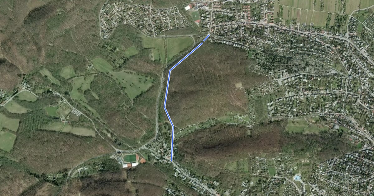 Маршрут Neuwaldegg - Salmannsdorf/Sommerhaidenweg на спутниковом снимке