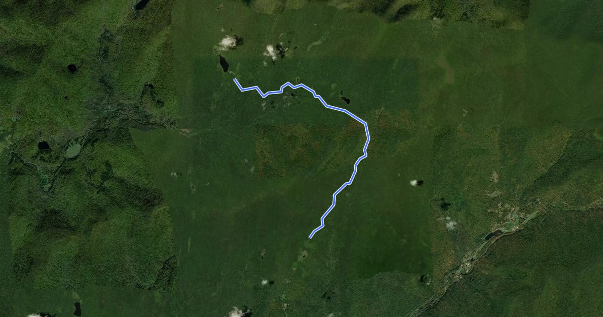 Маршрут Neversink - Hardenbaugh Trail на спутниковом снимке