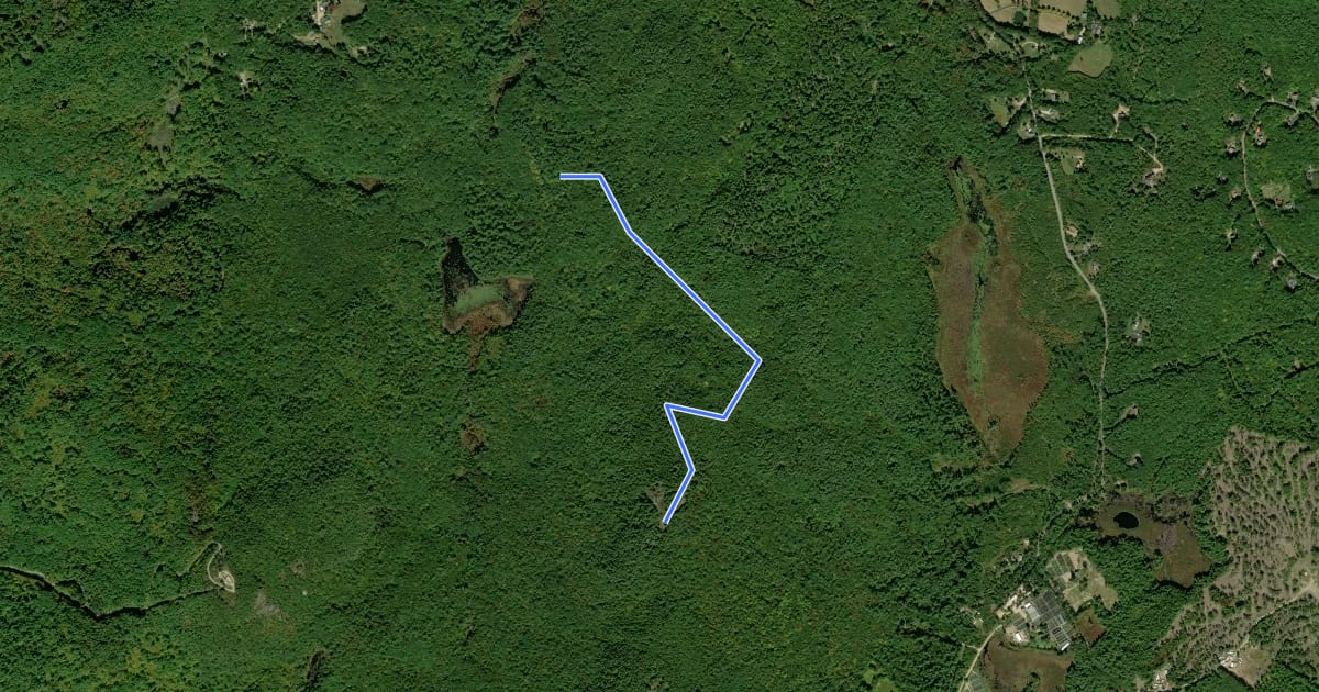 Маршрут Neville Ridge Scout Foot Trail на спутниковом снимке