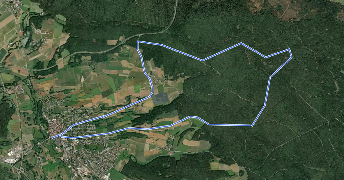 Маршрут NEW 20 - Kleine Hessenreuther Waldrunde на спутниковом снимке