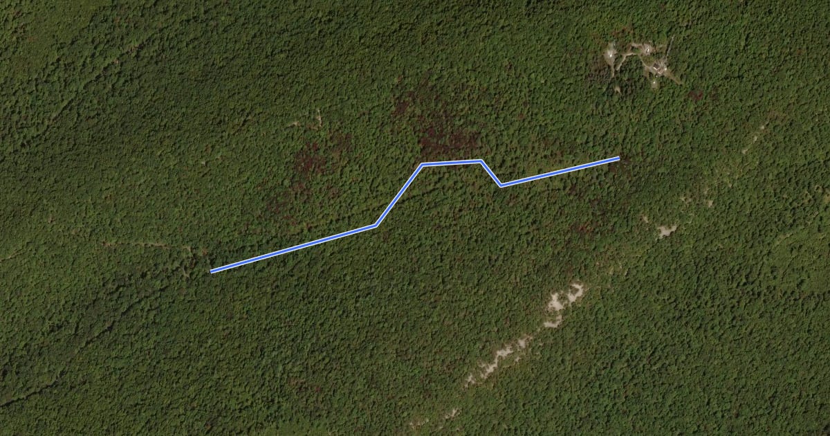 Маршрут New Laurel Run Trail на спутниковом снимке